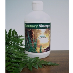 Rosemary Shampoo 16oz